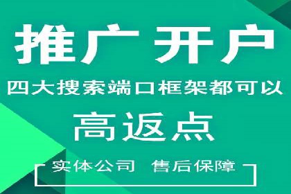 百度SEO推广公司成功案例：助力企业实现流量暴增