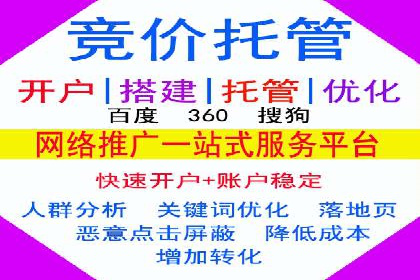 深度剖析：百度竞价推广代运营在某电商平台的成功实践